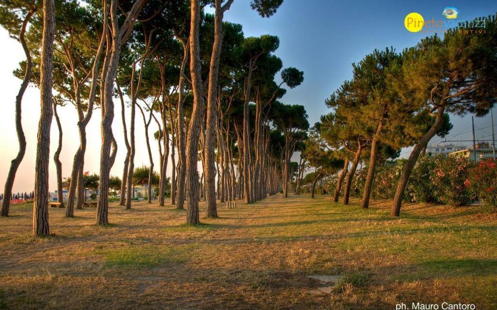 Myconos C2 - Pineto Vacanza Exterior photo